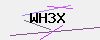 验证码